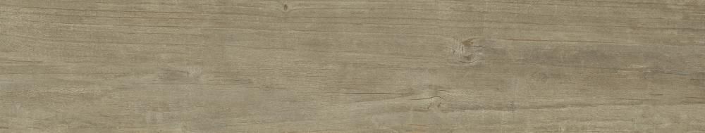 ANTICO 22x120